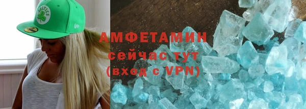 сатива Бородино