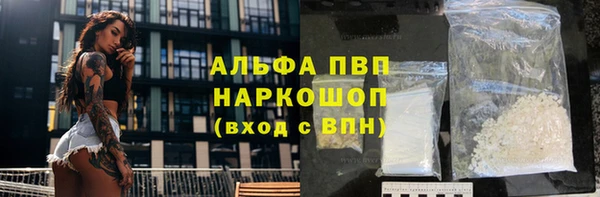СК Беломорск