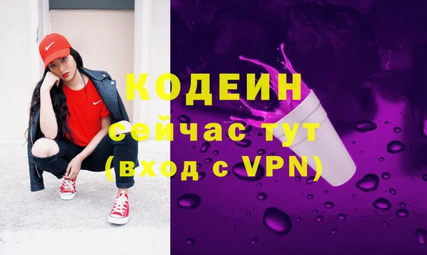 сатива Бородино