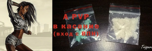 сатива Бородино