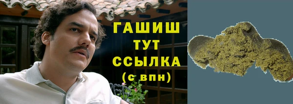 сатива Бородино