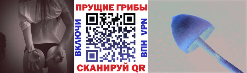 хочу   Белогорск  Галлюциногенные грибы прущие грибы 